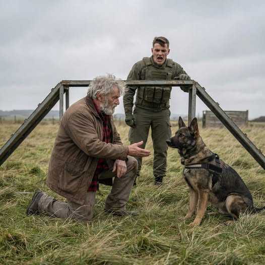 Egy katonai K9 minden parancsot figyelmen kívül hagyott… míg egy hajléktalan veterán egyetlen parancsot sem adott.