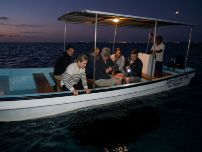 QUALCOSA HA COLPITO DUE VOLTE IL LATO DELLA BARCA ALLE 8:07 DI SERA VICINO A ISLA MUJERES, E I TURISTI SONO RIMASTI IN ASSOLUTO SILENZIO QUANDO HANNO VISTO CHE IL MARE SOTTO I NOSTRI PIEDI DIVENTAVA COMPLETAMENTE NERO. LAVORO COME GUIDA TURISTICA IN QUESTE ACQUE DA TRE ANNI, MA NON AVEVO MAI VISTO UNA LINCONGA ACCESA EMERGERE DAL FONDO DEL MARE.